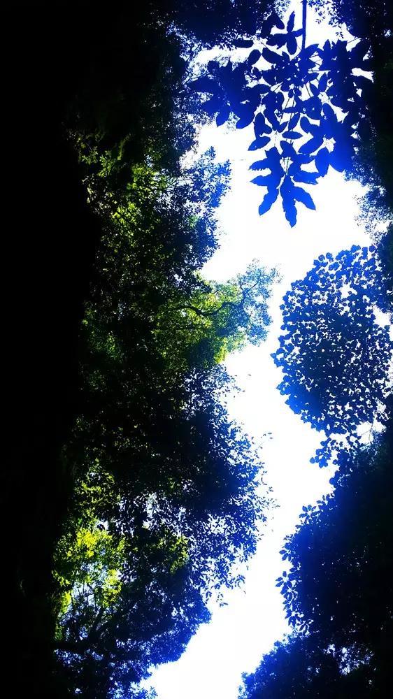一个大问题