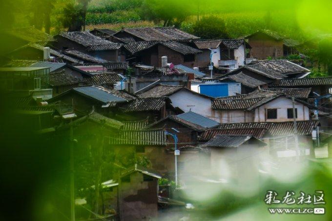 钻石开采者